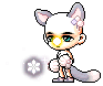 KiwiNovice